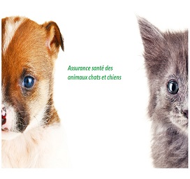 Assurance santé des animaux chats et chiens